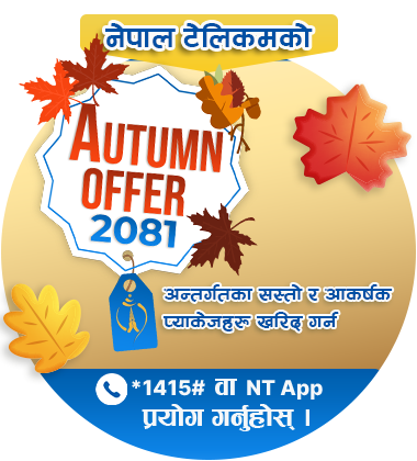 Autumn Offer 2081